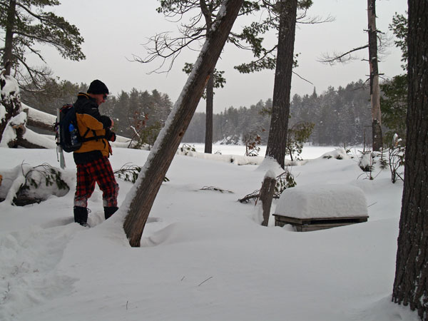 Winter in Algonquin Park