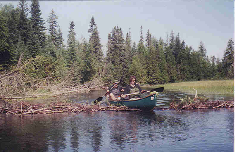 Mississaugi River Beaver dam